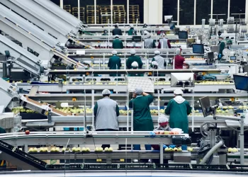 Industry Sector ETFs