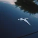 Potential for Tesla