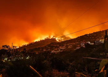 Financial Implications of the 2023 Greece Wildfire