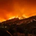 Financial Implications of the 2023 Greece Wildfire